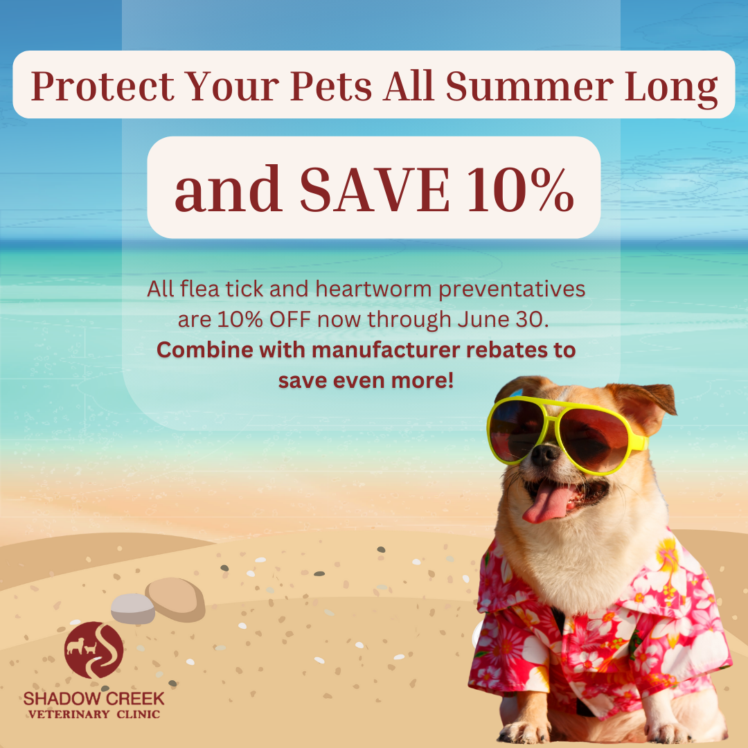 Save On Flea Tick Heartworm June 2024 Pearland