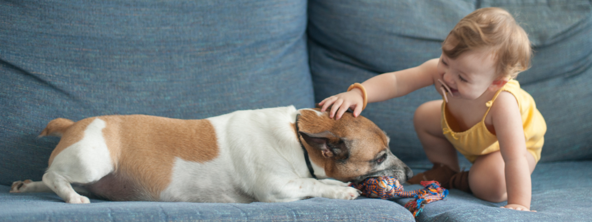 baby petting dog